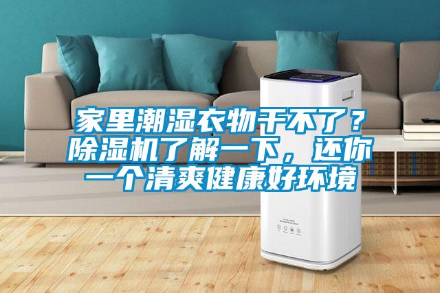 家裏潮濕衣物幹不了？麻豆视频免费看了解一下，還你一個清爽健康好環境