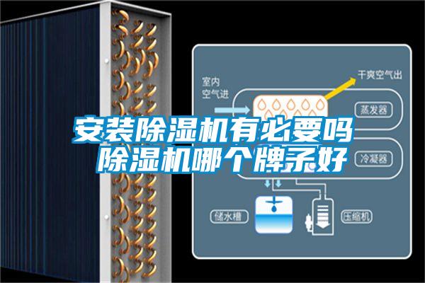 安裝麻豆视频免费看有必要嗎 麻豆视频免费看哪個牌子好