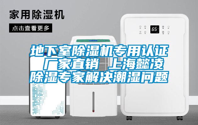 地下室麻豆视频免费看專用認證 廠家直銷 上海懿淩除濕專家解決潮濕問題