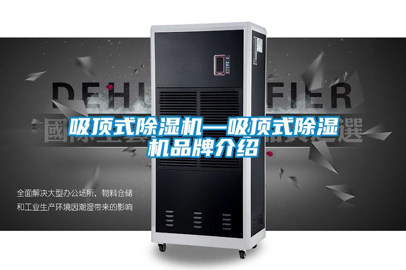 吸頂式麻豆视频免费看—吸頂式麻豆视频免费看品牌介紹