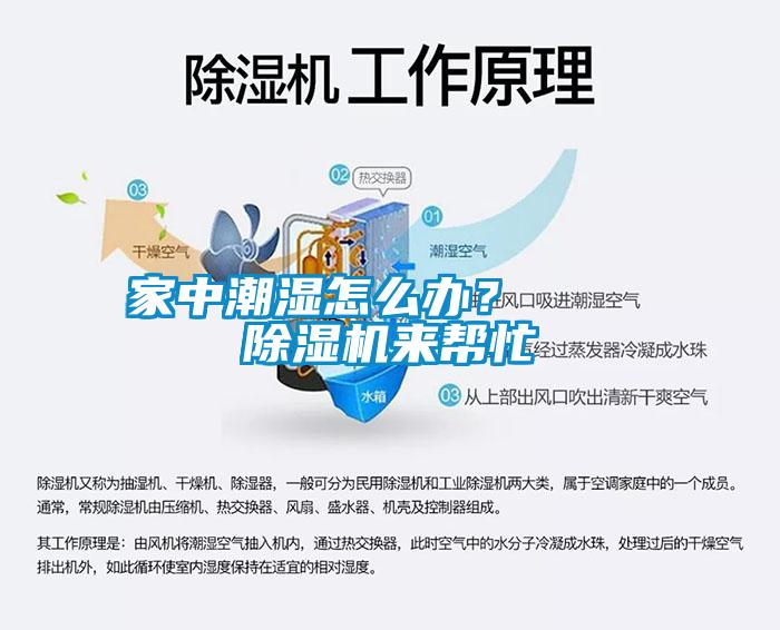 家中潮濕怎麽辦？    麻豆视频免费看來幫忙