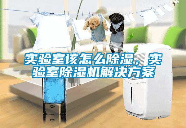 實驗室該怎麽除濕，實驗室麻豆视频免费看激情麻豆视频