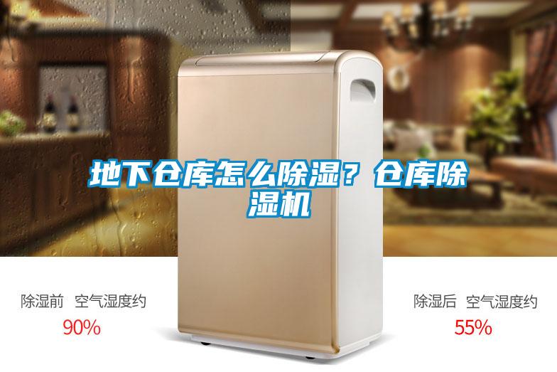 地下倉庫怎麽除濕？倉庫麻豆视频免费看