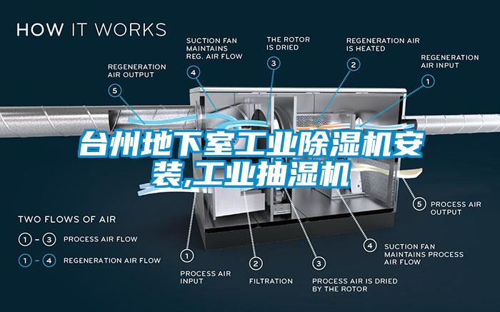 台州地下室工業麻豆视频免费看安裝,工業抽濕機