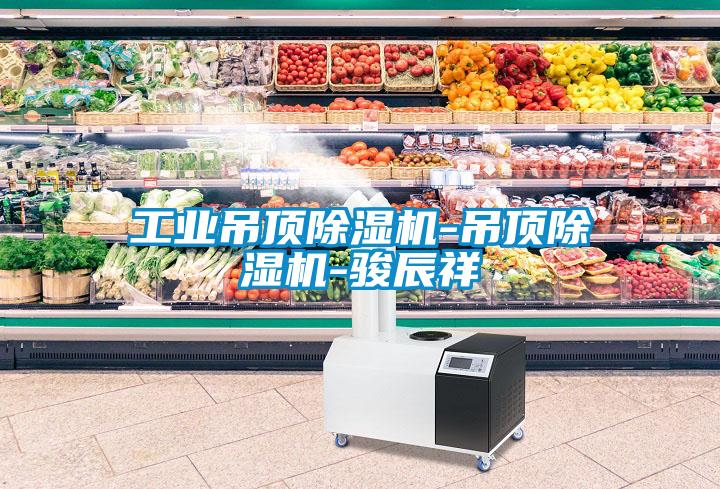 工業吊頂麻豆视频免费看-吊頂麻豆视频免费看-駿辰祥