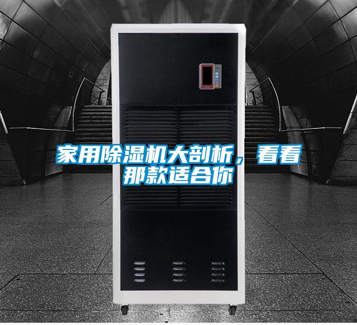 家用麻豆视频免费看大剖析，看看那款適合你