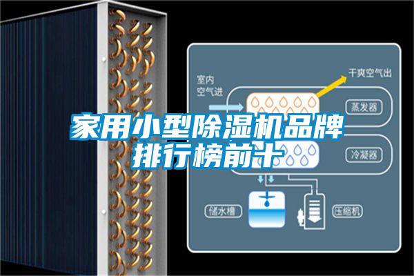 家用小型麻豆视频免费看品牌排行榜前十
