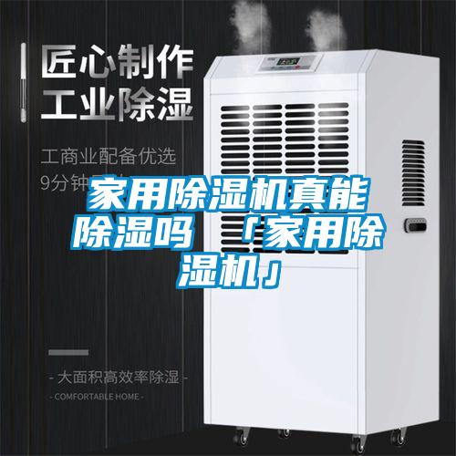 家用麻豆视频免费看真能除濕嗎 「家用麻豆视频免费看」