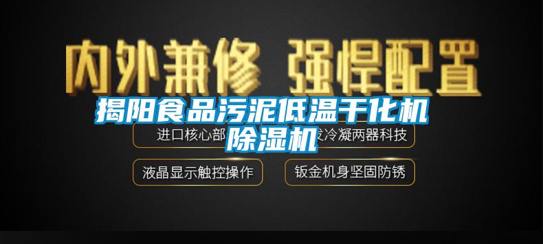 揭陽食品汙泥低溫幹化機 麻豆视频免费看