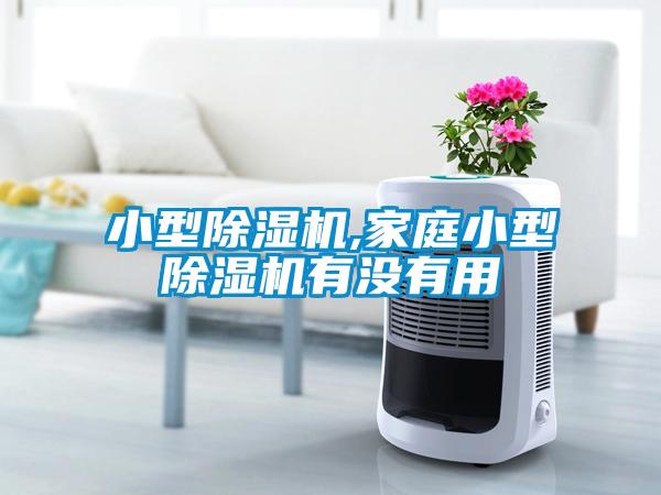 小型麻豆视频免费看,家庭小型麻豆视频免费看有沒有用