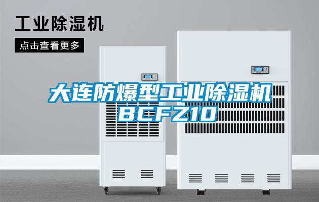 大連防爆型工業麻豆视频免费看 BCFZ10