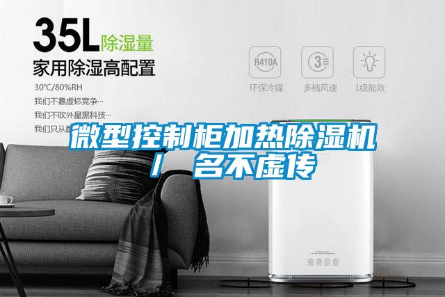 微型控製櫃加熱麻豆视频免费看／ 名不虛傳