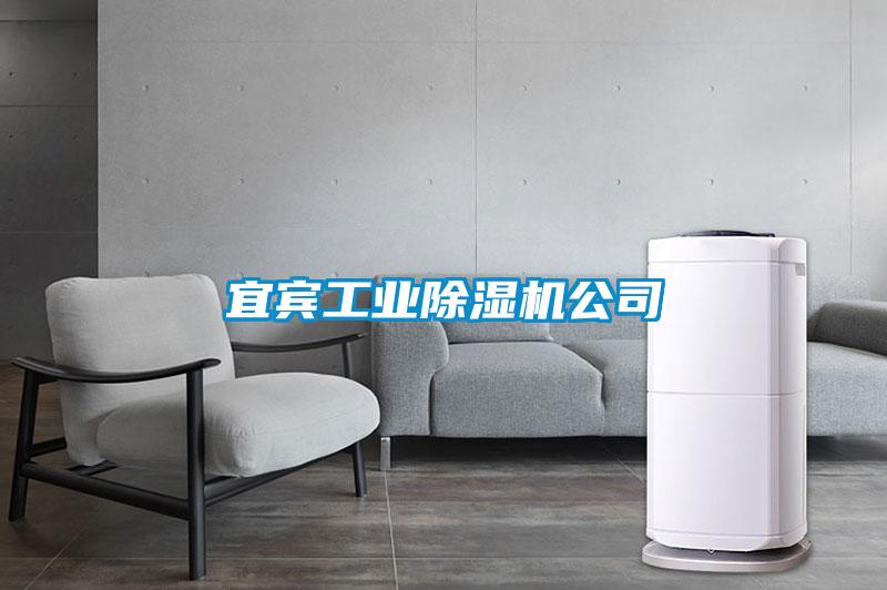 宜賓工業麻豆视频免费看公司