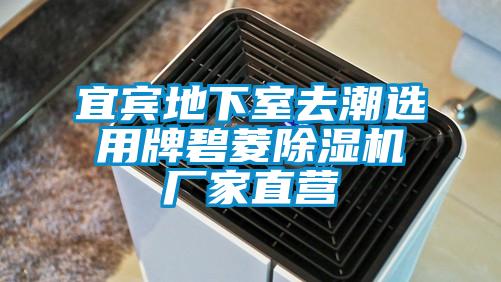 宜賓地下室去潮選用牌碧菱麻豆视频免费看廠家直營