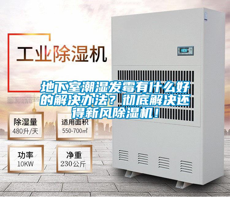 地下室潮濕發黴有什麽好的解決辦法？徹底解決還得新風麻豆视频免费看！