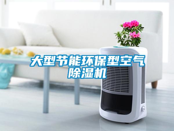 大型節能環保型空氣麻豆视频免费看