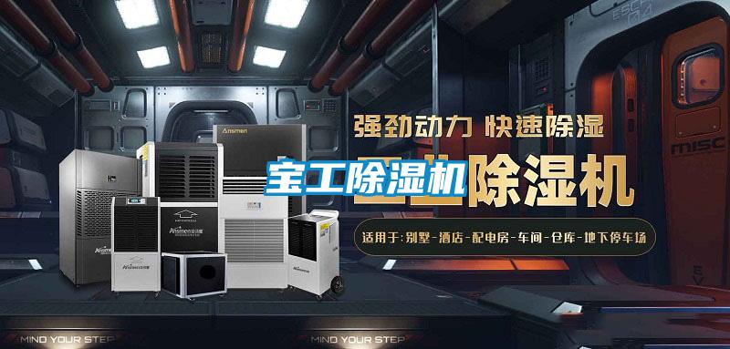 寶工麻豆视频免费看
