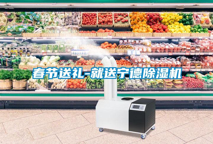 春節送禮-就送寧德麻豆视频免费看