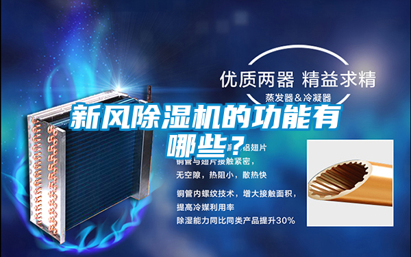 新風麻豆视频免费看的功能有哪些？