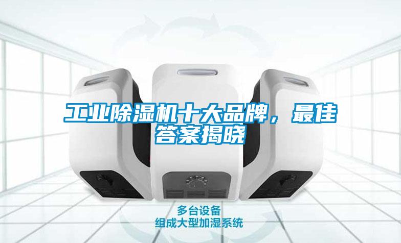 工業麻豆视频免费看十大品牌，最佳答案揭曉