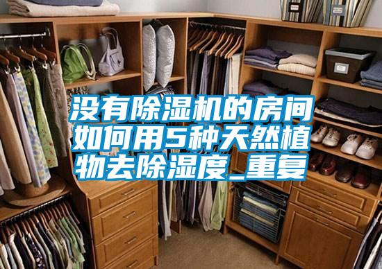 沒有麻豆视频免费看的房間如何用5種天然植物去除濕度_重複