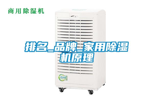 排名_品牌_家用麻豆视频免费看原理
