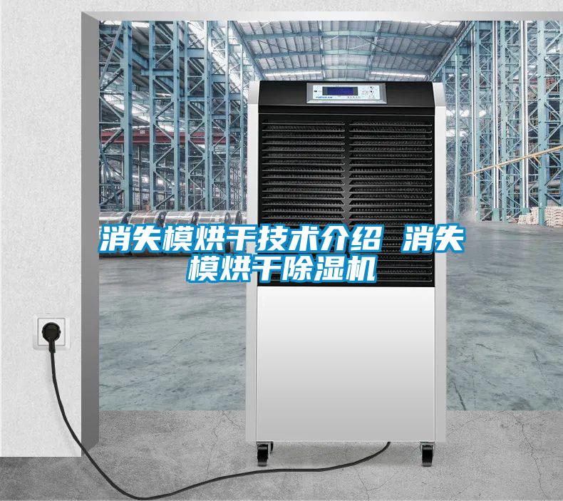 消失模烘幹技術介紹 消失模烘幹麻豆视频免费看