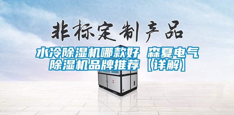 水冷麻豆视频免费看哪款好 森夏電氣麻豆视频免费看品牌推薦【詳解】