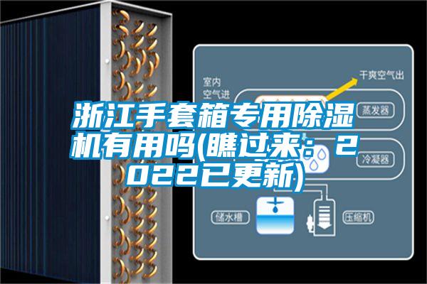 浙江手套箱專用麻豆视频免费看有用嗎(瞧過來：2022已更新)