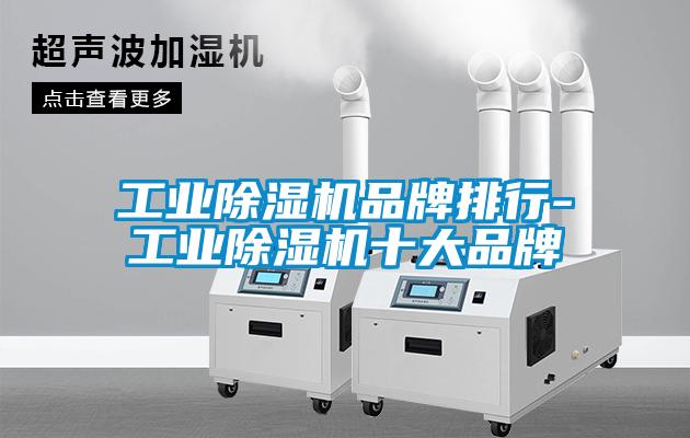 工業麻豆视频免费看品牌排行-工業麻豆视频免费看十大品牌