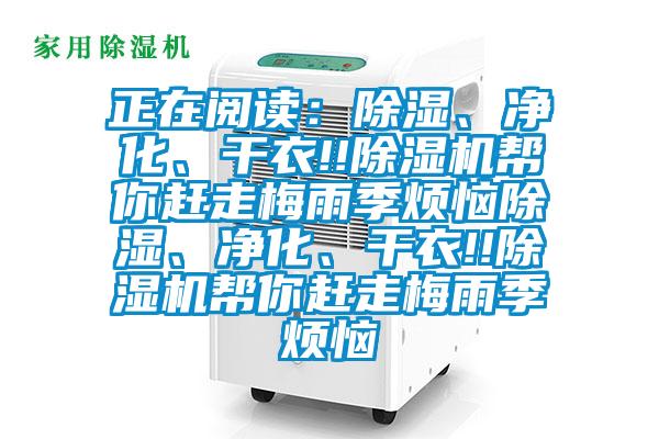 正在閱讀：除濕、淨化、幹衣!!麻豆视频免费看幫你趕走梅雨季煩惱除濕、淨化、幹衣!!麻豆视频免费看幫你趕走梅雨季煩惱