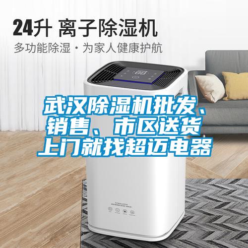 武漢麻豆视频免费看批發、銷售、市區送貨上門就找超邁電器