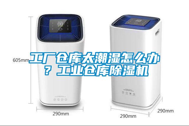 工廠倉庫太潮濕怎麽辦？工業倉庫麻豆视频免费看