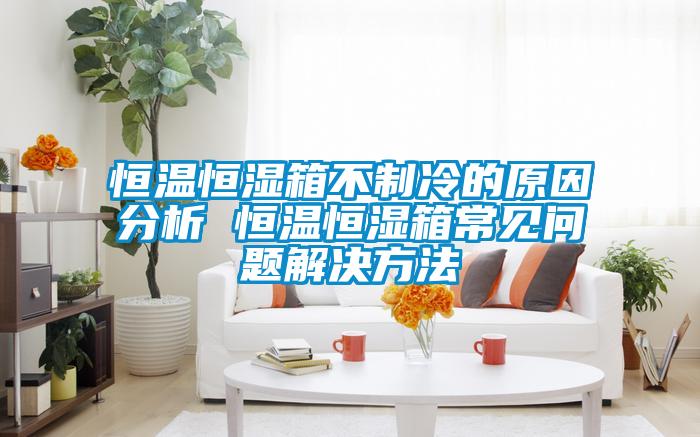 恒溫恒濕箱不製冷的原因分析 恒溫恒濕箱常見問題解決方法