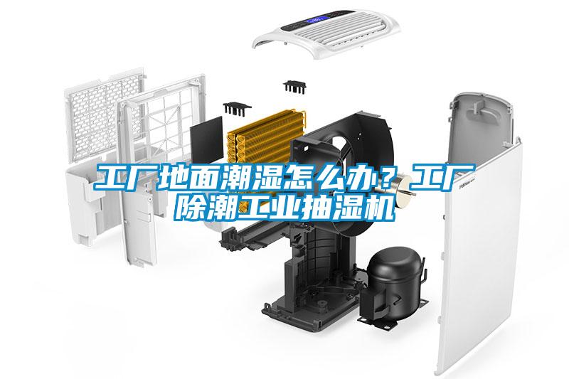 工廠地麵潮濕怎麽辦？工廠除潮工業抽濕機