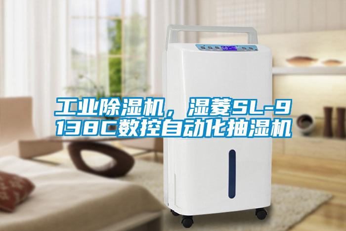 工業麻豆视频免费看，濕菱SL-9138C數控自動化抽濕機