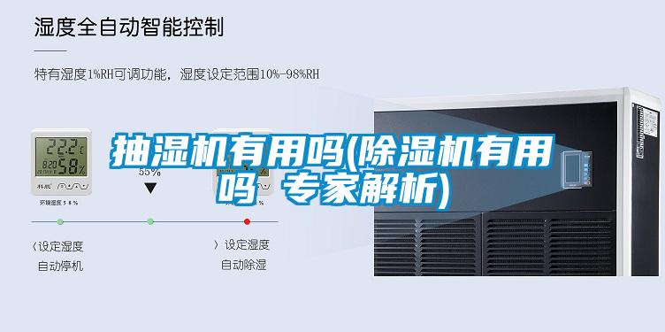 抽濕機有用嗎(麻豆视频免费看有用嗎 專家解析)