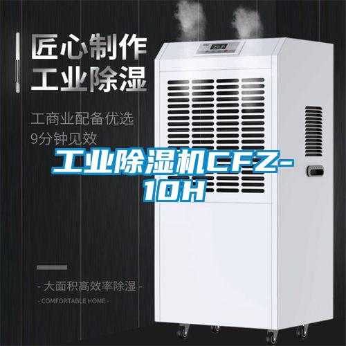 工業麻豆视频免费看CFZ-10H