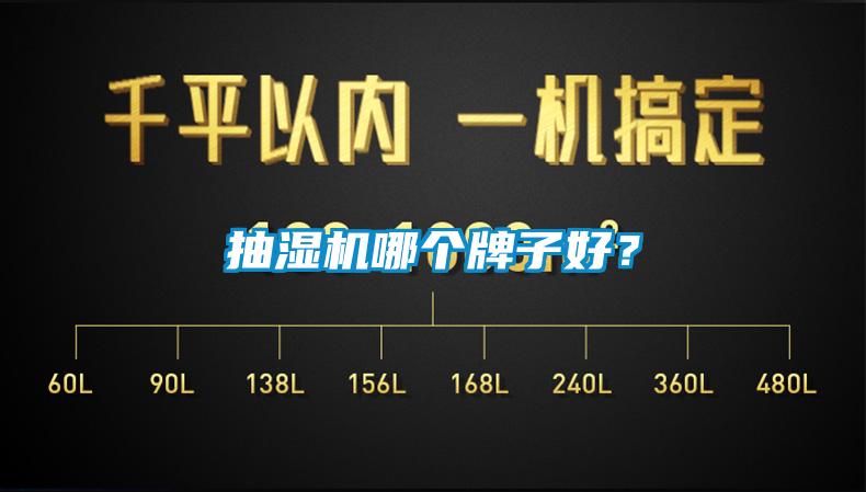 抽濕機哪個牌子好？