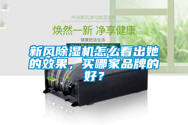 新風麻豆视频免费看怎麽看出她的效果，買哪家品牌的好？