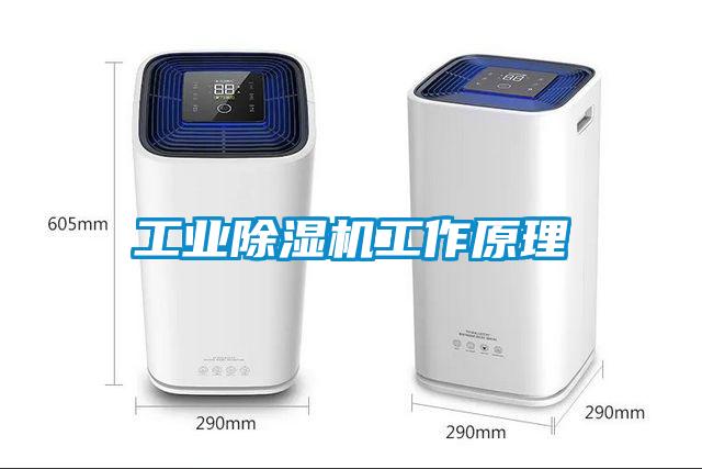 工業麻豆视频免费看工作原理