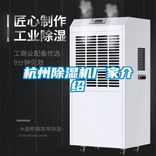 杭州麻豆视频免费看廠家介紹