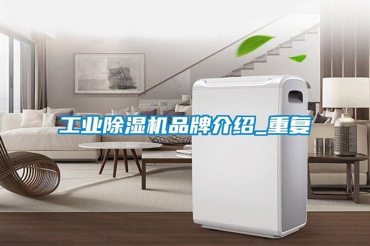 工業麻豆视频免费看品牌介紹_重複