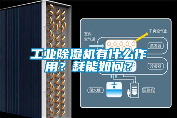 工業麻豆视频免费看有什麽作用？耗能如何？