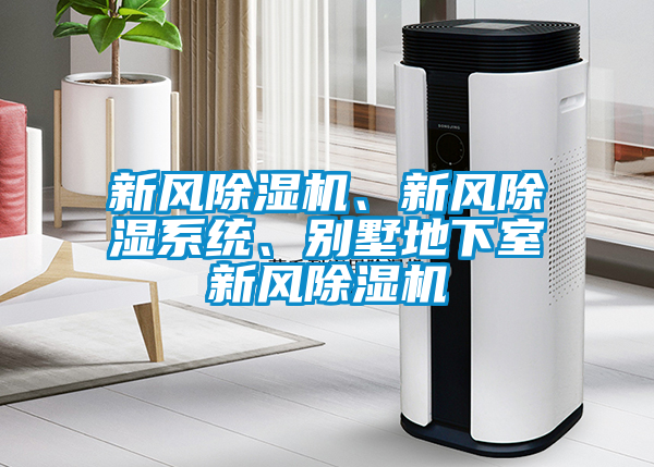 新風麻豆视频免费看、新風除濕係統、別墅地下室新風麻豆视频免费看
