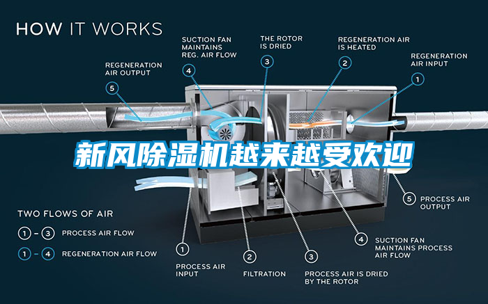 新風麻豆视频免费看越來越受歡迎