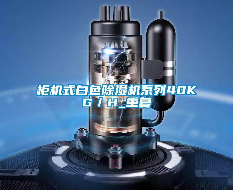 櫃機式白色麻豆视频免费看係列40KG／H_重複