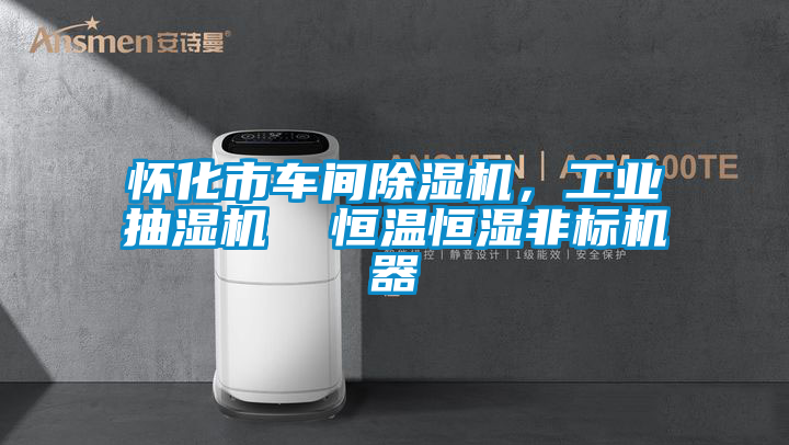 懷化市車間麻豆视频免费看，工業抽濕機  恒溫恒濕非標機器