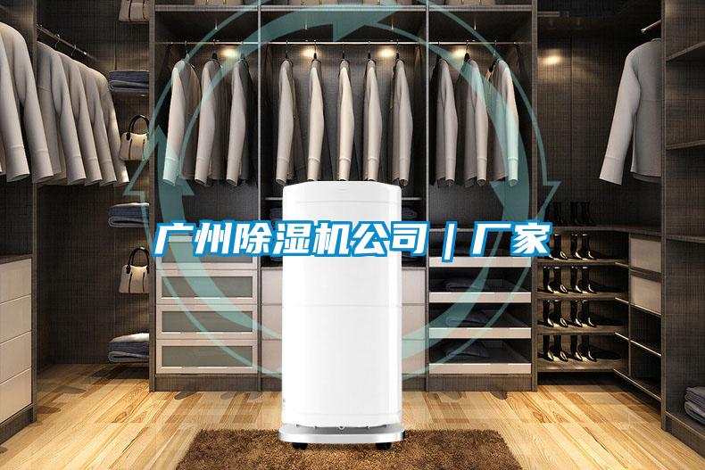 廣州麻豆视频免费看公司｜廠家
