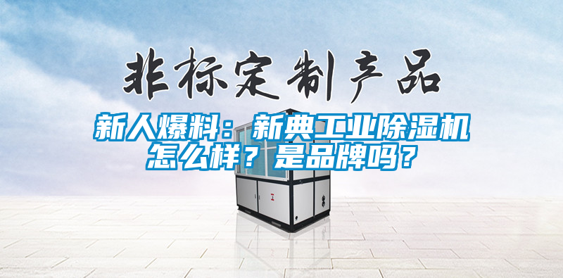新人爆料：新典工業麻豆视频免费看怎麽樣？是品牌嗎？